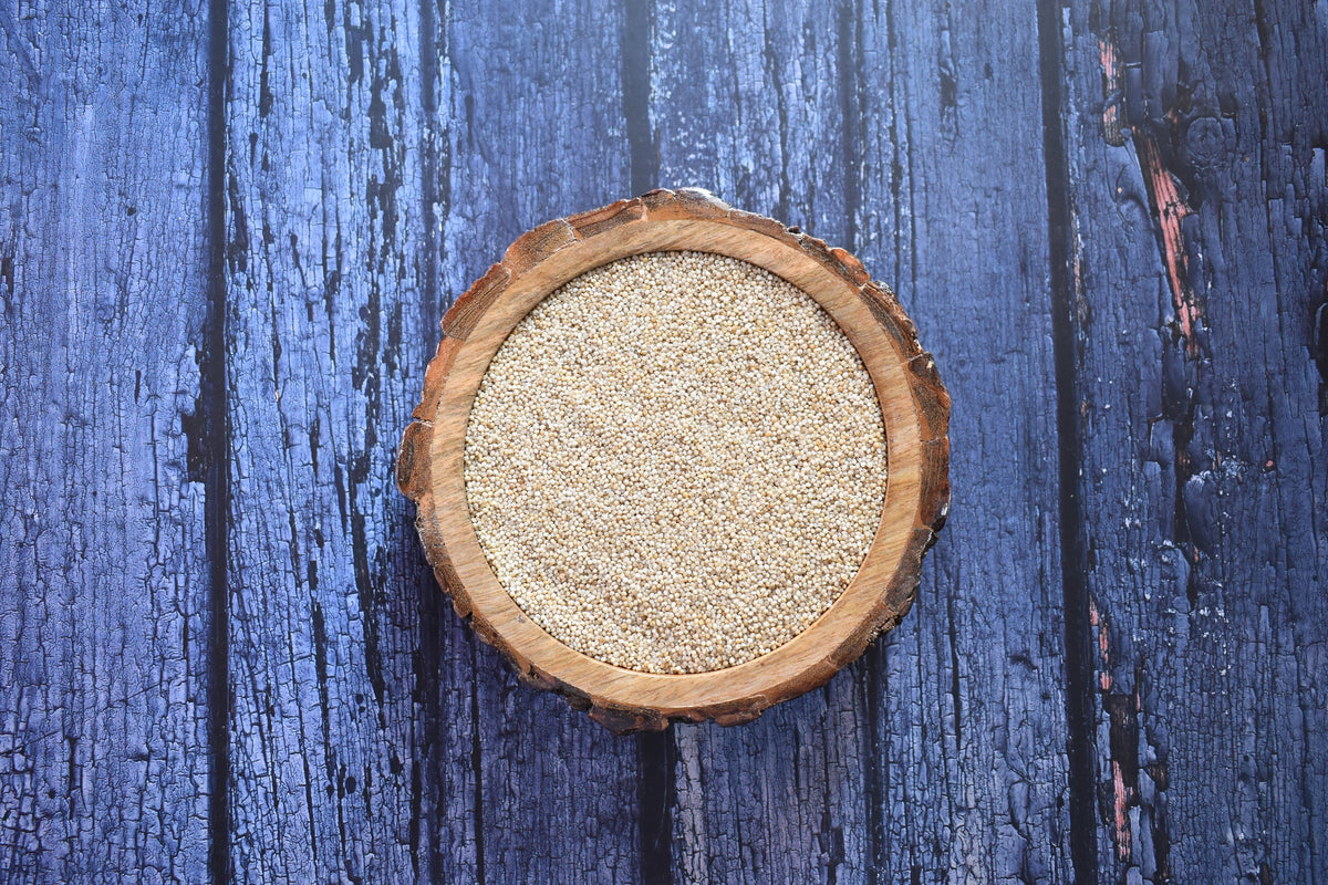 Japanese Millet Seeds – Billion Dollar Grass Grain Echinochloa Frumentacea – photo 8