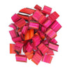 40 PINK LIPSTICK SWISS CHARD Vegetable Seeds Perpetual Spinach Beta Vulgaris Seeds