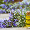 100 ROSEMARY Rosmarinus Officinalis Herb Flower Seeds