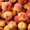 3 NEMAGUARD PEACH TREE Prunus Persica Fruit Pink Flower Seeds