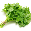 1000 CILANTRO / CORRIANDER / Chinese PARSLEY Coriandrum Sativum Herb Flower Seeds