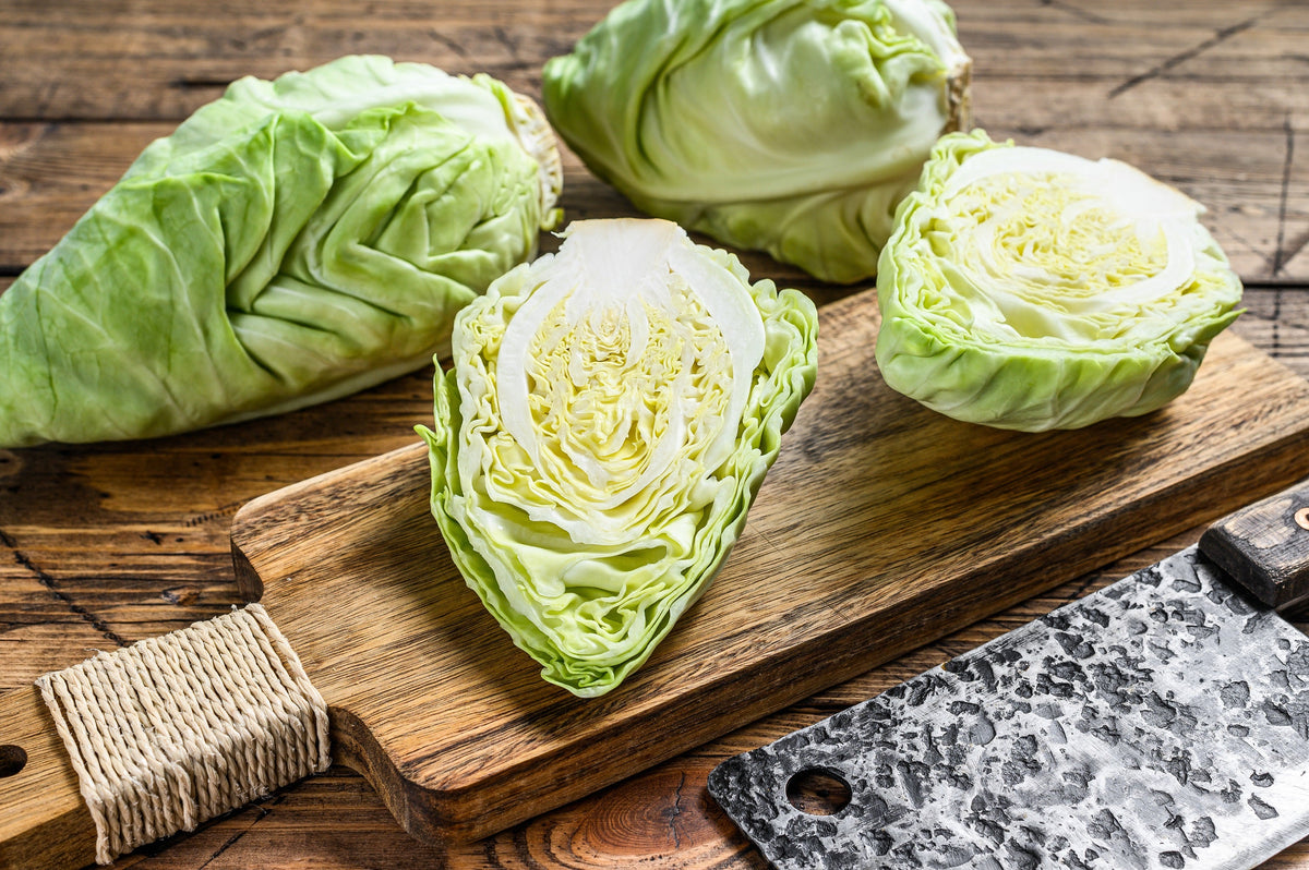 Charleston Wakefield Cabbage Seeds – Heirloom Cone Brassica Oleracea Vegetable – photo 7
