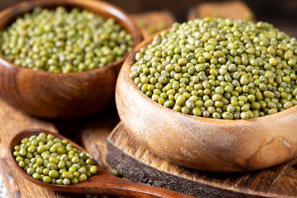 Mung Bean Seeds – Moong Sprouts Golden Gram Green Vigna Radiata Vegetable