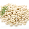 50 White GREAT NORTHERN BEAN Bush Phaseolus Vulgaris Vegetable Seeds