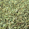 300 SWEET FLORENCE FENNEL Foeniculum Vulgare Azoricum Herb Vegetable Flower Seeds