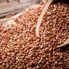 Organic Buckwheat Seeds – Fagopyrum Esculentum Grain Cover Crop Ground Cover Flower Vegetable – photo 5