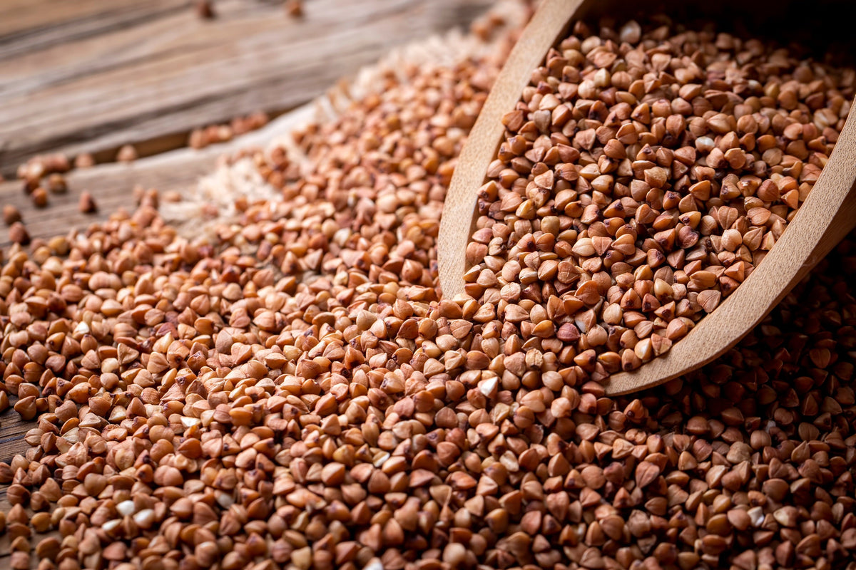 Organic Buckwheat Seeds – Fagopyrum Esculentum Grain Cover Crop Ground Cover Flower Vegetable – photo 5