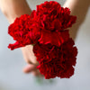 50 SCARLET RED CARNATION Dianthus Caryophyllus Grenadin Double Flower Seeds