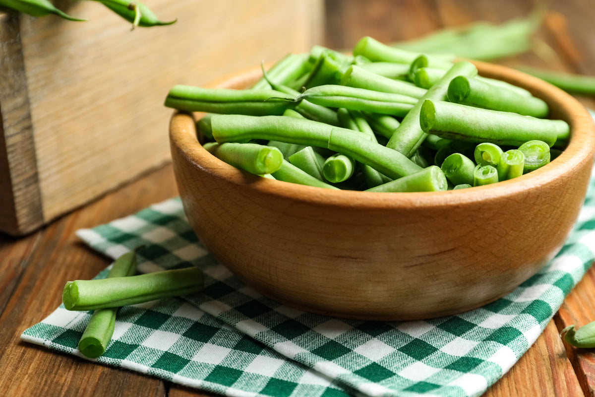 Tendergreen Green Bean Seeds (Phaseolus vulgaris)