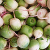 300 WATERMELON RADISH Beauty Heart Raphanus Sativus Pink White Vegetable Seeds