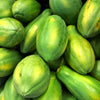 30 PAPAYA MELON Fruit TREE Carica Papaya Seeds