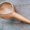 30 DIPPER GOURD Siphon Gourd Green Lagenaria Siceraria Vegetable Seeds