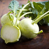 2000 WHITE VIENNA KOHLRABI German Turnip / Turnip Cabbage Brassica Oleracea Root & Leaf Vegetable Seeds