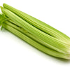 1000 TALL UTAH CELERY Apium Graveolens Dulce Vegetable Seeds