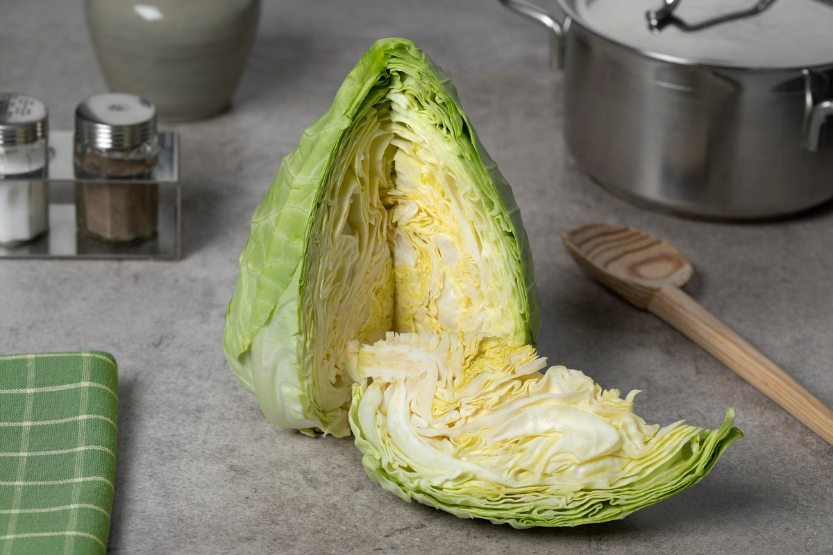 Charleston Wakefield Cabbage Seeds – Heirloom Cone Brassica Oleracea Vegetable – photo 8