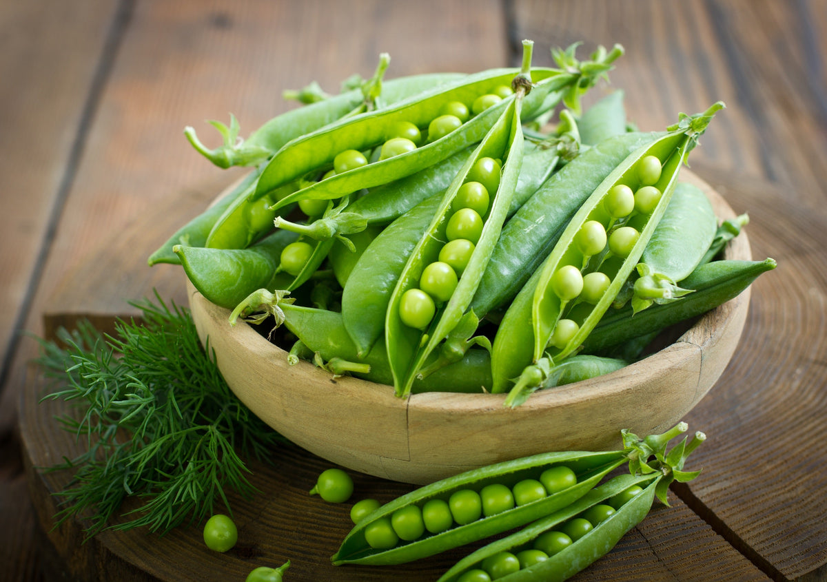 Sugar Ann Pea Seeds – Stringless Sweet Green Snap Pisum Sativum Vegetable – photo 5