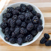 100 BLACKBERRY Fruit Bush Rubus Allegheniensis Seeds