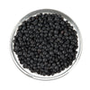 100 BLACK LENTIL Bush Lens Culinaris Vegetable Legume Sprouts Seeds
