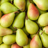 25 EUROPEAN PEAR TREE Pyrus Communis Fruit Seeds - White Flowers / Green Fruit