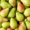 European Pear Tree Seeds – Pyrus Communis Fruit Seeds – White Flowers / Green Fruit – photo 10
