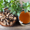 50 LOVAGE Levistucum Officinale - Flavor like celery & anise - Herb Flower Seeds
