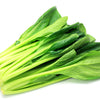 1500 SPINACH MUSTARD TENDERGREEN Komatsuna Greens Brassica Rapa Vegetable Seeds