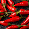 30 BIRDS Eye CHILI PEPPER (Chiltepin Pepper) Capsicum Frutescens Vegetable Seeds