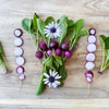 300 PURPLE PLUM RADISH Raphanus Sativus White Flesh Root Vegetable Seeds
