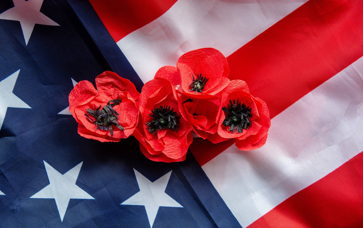 Red American Legion (Corn / Shirley / Flanders) Poppy Papaver Rhoeas Flower Seeds