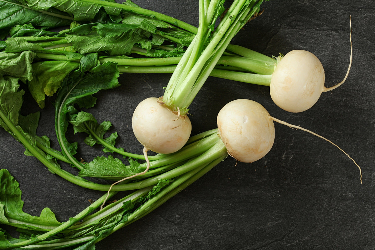 Hailstone White Globe Radish Seeds – Raphanus Sativus Vegetable – photo 8