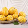 50 EARLY SILVER LINE MELON Cucumis Melo Yellow Striped Skin White Flesh Korean Fruit Seeds