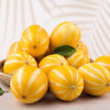 50 EARLY SILVER LINE MELON Cucumis Melo Yellow Striped Skin White Flesh Korean Fruit Seeds