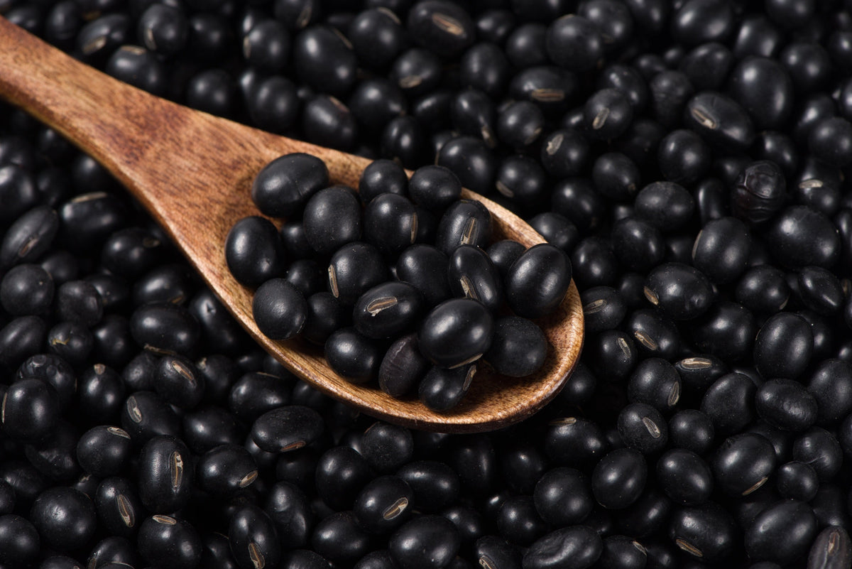 Sweet Black Jet Soybean Seeds – Edamame Bean Glycine Max Vegetable Legume – photo 7