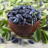 30 HONEYBERRY Blue Honeysuckle Lonicera Caerulea Edible Fruit Shrub Seeds
