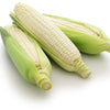 100 Country GENTLEMAN WHITE CORN Sweet Heirloom Zea Mays Vegetable Seeds