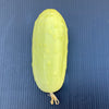 50 WHITE WONDER CUCUMBER Fruit Cucumis Sativus Seeds