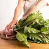 300 RUBY RED SWISS CHARD (Perpetual Spinach) Beta Vulgaris Cicla Vegetable Seeds
