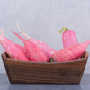 100 CHINA ROSE RADISH (Chinese Winter Radish) Raphanus Sativus Vegetable Seeds
