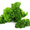 1000 MOSS CURLED PARSLEY Petroselinum Crispum Herb Vegetable Flower Seeds