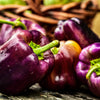 100 LILAC BELL PEPPER Capsicum Annuum Sweet Mild Purple Vegetable Seeds