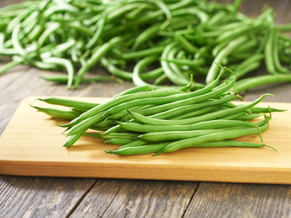 Tendergreen Green Bean Seeds – Phaseolus Vulgaris Vegetable – photo 6