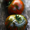 50 CHOCOLATE STRIPES TOMATO Brown with Green Lycopersicon Fruit Vegetable Seeds