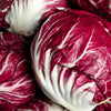 100 ROSSA Di VERONA RADICCHIO / Endive Italian Cichorium Intybus Vegetable Seeds