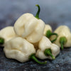 50 Hot WHITE HABANERO PEPPER Capsicum Chinense Vegetable Seeds