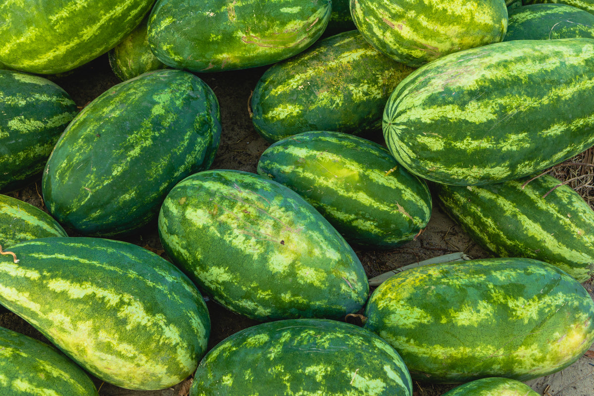 Cal Sweet Supreme Watermelon Red Citrullus Lanatus 30 lb Melon Fruit Seeds – photo 7