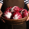100 ROSSA Di VERONA RADICCHIO / Endive Italian Cichorium Intybus Vegetable Seeds
