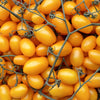 150 PLUM YELLOW TOMATO Lycopersicon Heirloom Indeterminate Fruit Vegetable Seeds