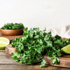 250 LEISURE CILANTRO / CORIANDER Coriandrum Sativum Herb Vegetable Seeds