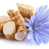1000 CHICORY (Blue Daisy / Blue Sailors / Coffeeweed / Succory) Chicorium Cicorium Intybus Flower Herb Seeds