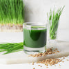 500 Organic CAT GRASS WHEAT Grass Pet Grass Wheatgrass Catgrass Triticum Aestivum Seeds